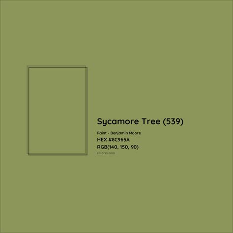 sycamore color shoes|characteristics of sycamore tree.